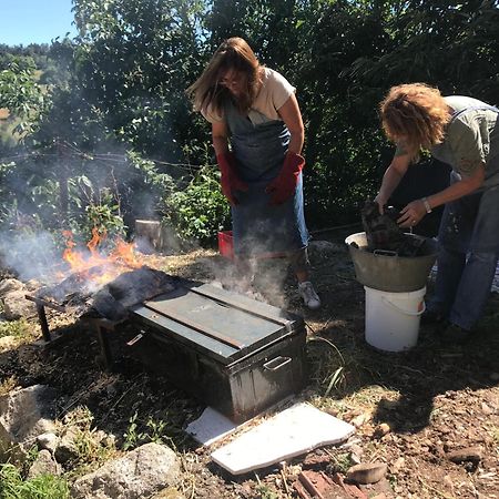 Chambres Et Tables D'Hotes - Les Ateliers De Pontajou - Pelerin Navette Gratuite A Saugues Venteuges Eksteriør billede